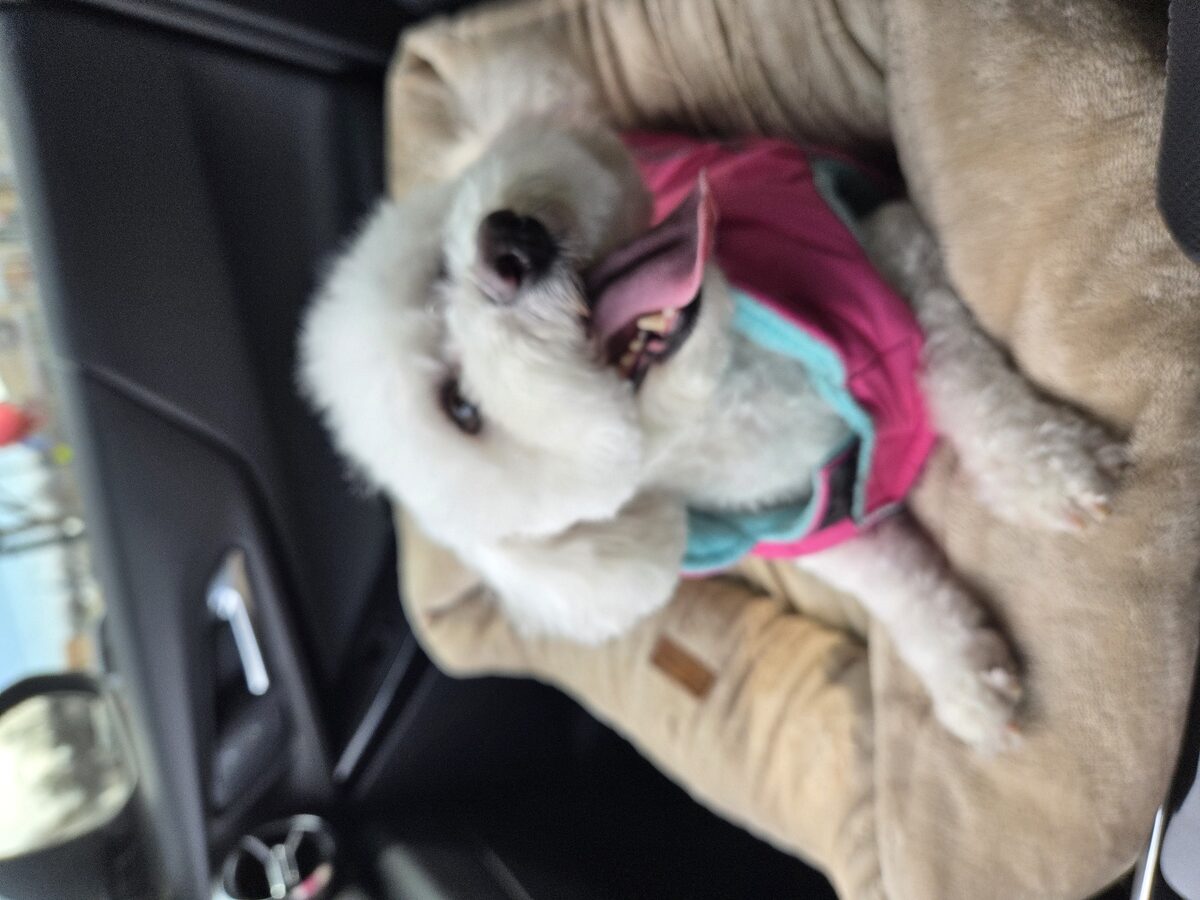 Molly